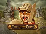 Feline Fury